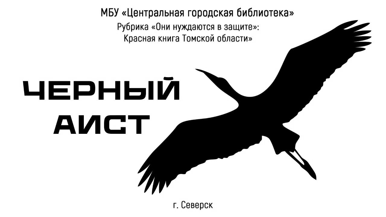 Видеопрезентация "Черный аист" (12+) смотреть онлайн