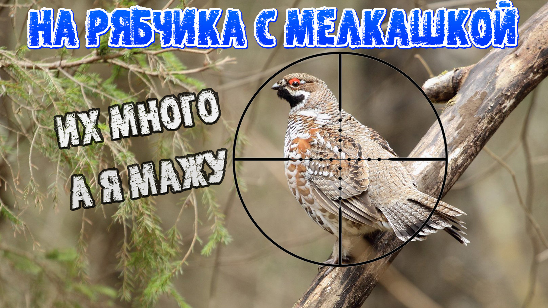 Охота на рябчика осень 2023 | С мелкашкой на рябчика | На рябчика с манком смотреть онлайн