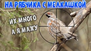 Охота на рябчика осень 2023 | С мелкашкой на рябчика | На рябчика с манком