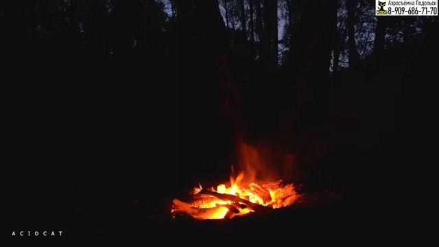 ЗВУКИ ЛЕСА. ПЕНИЕ ПТИЦ И ШУМ КОСТРА-РЕЛАКС смотреть онлайн
