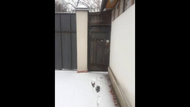 Продам домовладение в 15 км от МКАД, п. Удельная Раменский район смотреть онлайн