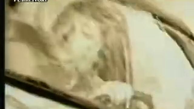 Toyota Corolla Spot Commercial 1998