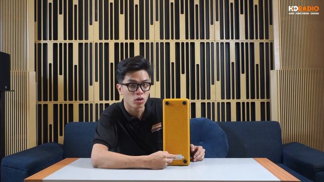 Loa Fender Monterey Tweed Công Suất 120W, Bluetooth 4.2 AtpX, Có Tay Xách (Cắm điện) смотреть онлайн