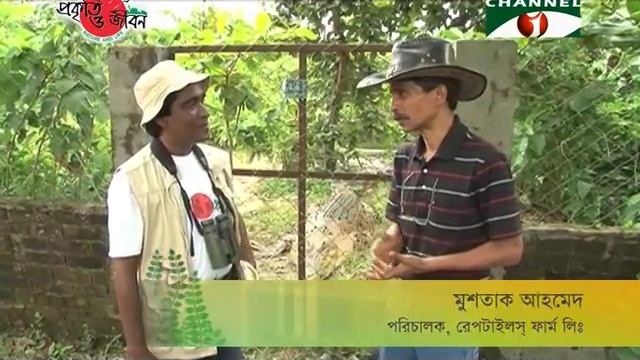 Nature and Life Episode 18 Crocodiles and Gavials смотреть онлайн