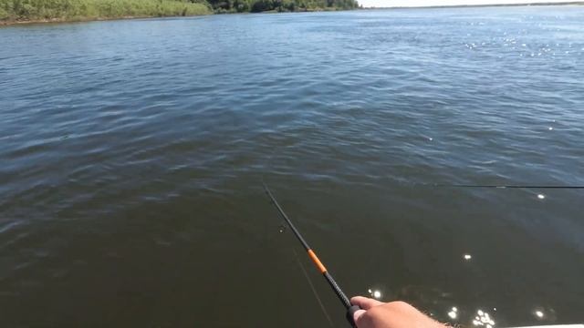 Бешеный клев язя на Волге! Счет 9:1 в мою пользу. смотреть онлайн