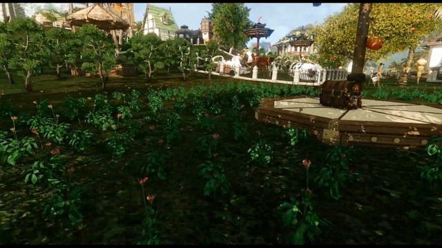 [archeage] Когда посадил с друзьями поле женьшеня