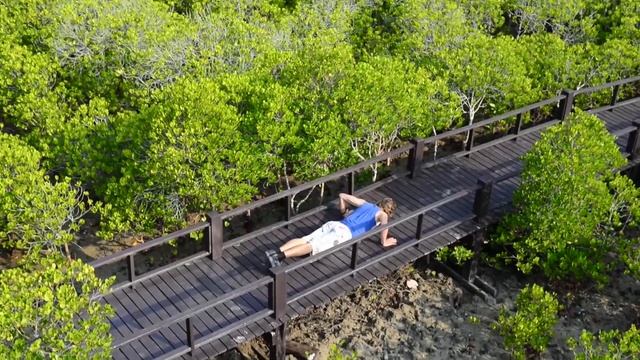 10 000 отжиманий за месяц смотреть онлайн