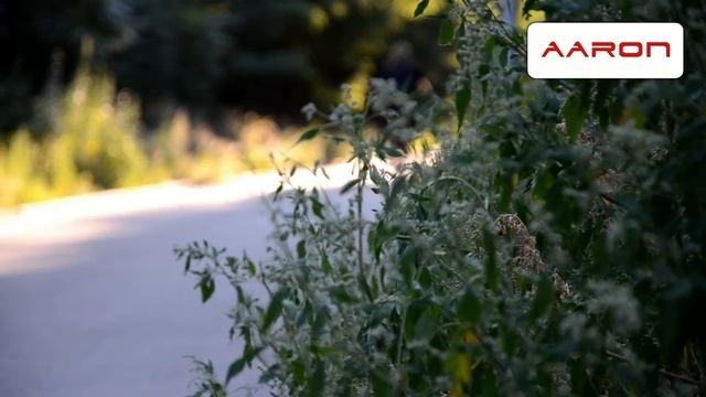 Nikon D7000 - testovací video смотреть онлайн