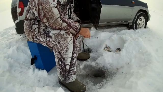 Поймал окуня, видел головастиков и куропаток в селе