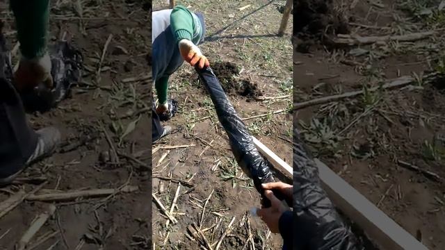 Гидроизоляция столбов для теплицы 10*66 своими руками