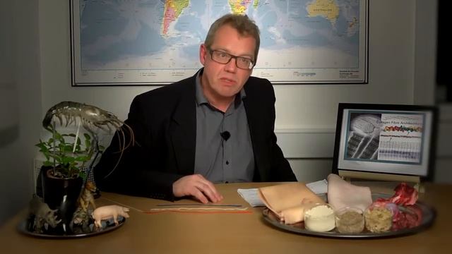 Collagen Architecture/Узнайте больше о Коллагене