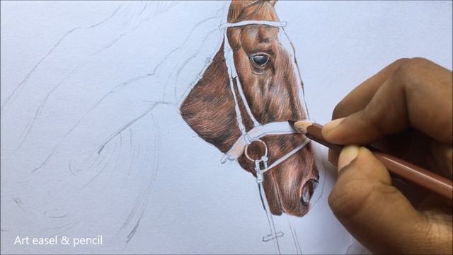 Horse Face Drawing in Color Pencils | Animal Drawing | Color Pencil Drawing смотреть онлайн