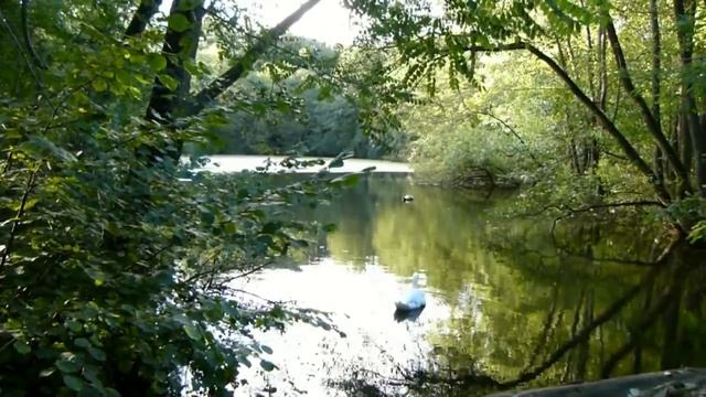 Panasonic DMC-FZ100 Filmpje 1080i [HD]