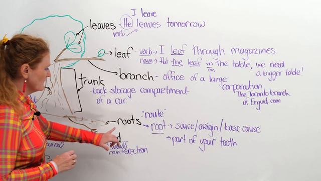 Learn English Vocabulary...with a tree! смотреть онлайн