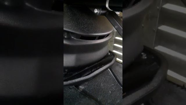 Ирбис, Мухтар 15 2021года