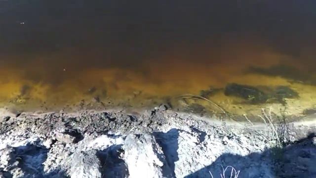 Ласточки береговушки смотреть онлайн