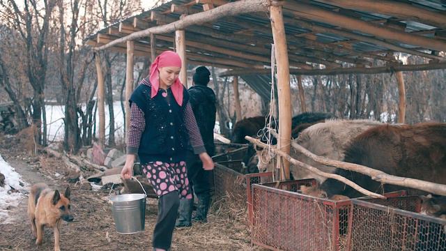 Знай свой ВИЧ статус смотреть онлайн