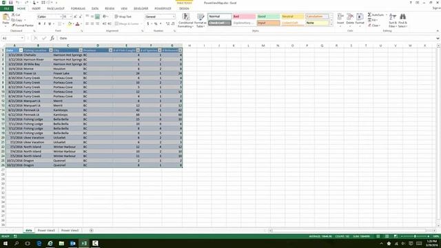 How to Use Power Views - Excel Basics смотреть онлайн