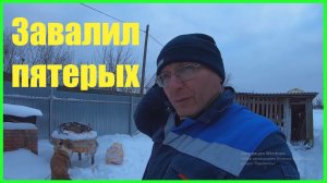 ЗАБОЙ и РАЗДЕЛКА СВИНЕЙ ВЬЕТНАМСКОЙ ПОРОДЫ .СКОЛЬКО МЯСА и САЛА ?