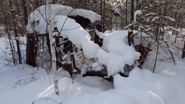 ПОЕЗДКА В ТАЙГУ/ЗАБРОШЕННЫЙ УЧАСТОК/ЧЕРВЯНКА#жизньвтайге #отшельник #тайга #бездорожье смотреть онлайн