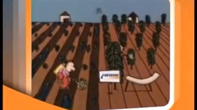 Капельное орошение, капельный полив, принцип работы смотреть онлайн