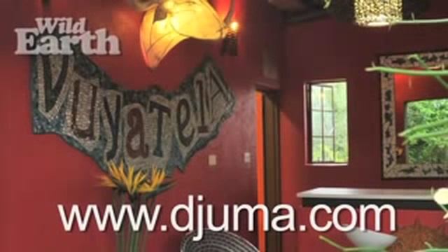 Wild Earth Safari смотреть онлайн