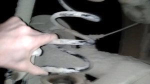 ???Замена пружин на Hyundai Solaris?