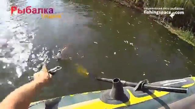 Головастик в работе по щуке смотреть онлайн