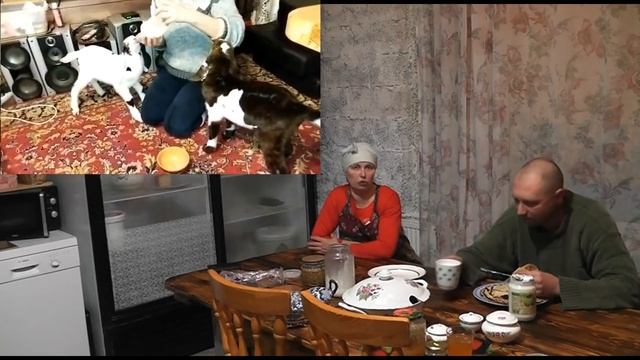 СБЫТ фермерской продукции не отходя от фермы. смотреть онлайн