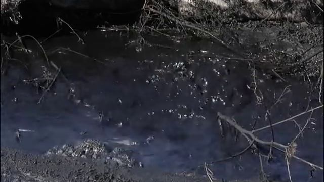 Производственный отходы льются в реку смотреть онлайн