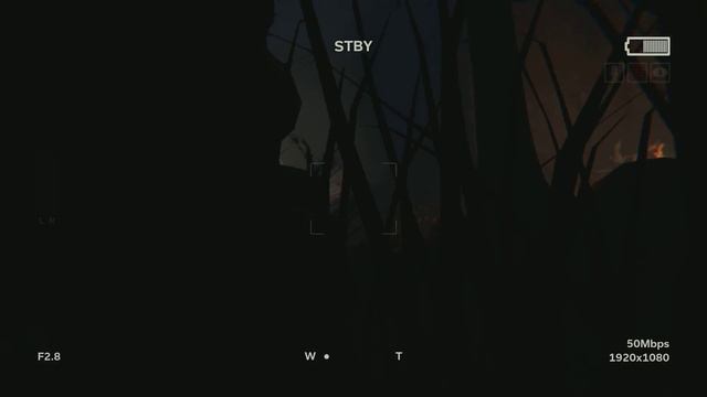 Outlast 2 слепое женское прохождение ч.13: Ты это заслужил! (16+) смотреть онлайн