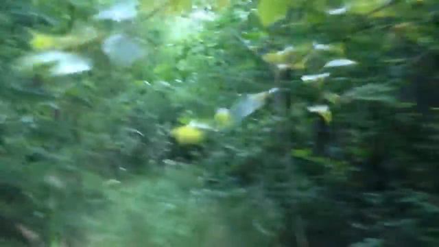 Дорога возле Ладоги смотреть онлайн
