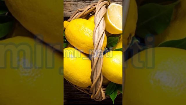 УХОД ЗА КОМНАТНЫМ ЛИМОНОМ смотреть онлайн