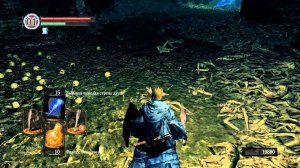 12.Dark Souls (Маг) Великий Серый Волк Сиф и 4 Короля