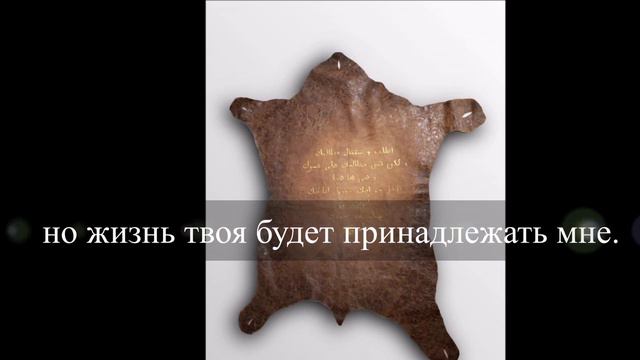 Шагреневая кожа