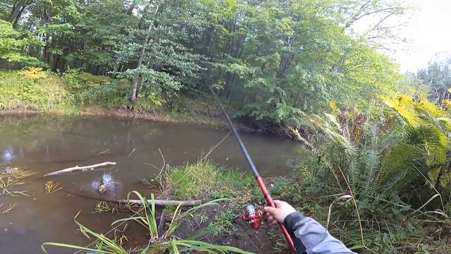 ловля хариуса смотреть онлайн