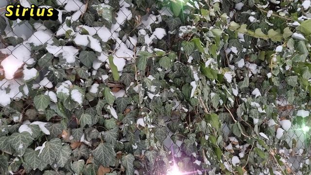 Какие знаки зодиака будут очень организованными до конца января 2023 года смотреть онлайн