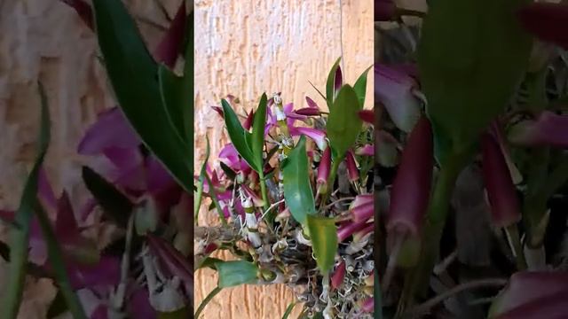 28 de agosto de 2021 смотреть онлайн