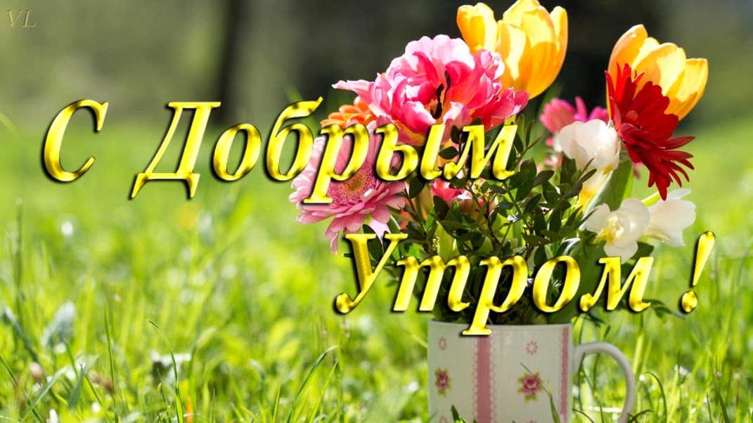 С ДОБРЫМ УТРОМ ! ХОРОШЕГО ДНЯ ! КРАСИВЫЕ ЦВЕТЫ | ОТКРЫТКА ДОБРОЕ УТРО | ПОЖЕЛАНИЕ С ДОБРЫМ УТРОМ смотреть онлайн