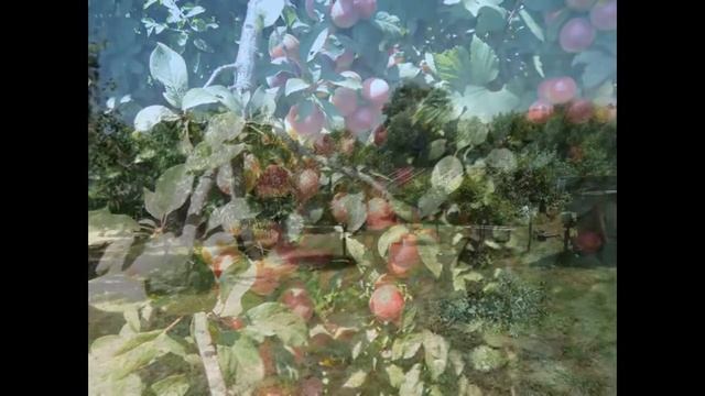 Купить дом в пгт Ахтырский Абинского района Краснодарского края. Продажа дома в Ахтырском.