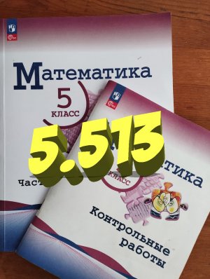 математика 5 класс номер 5.513