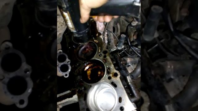 Волшебный Димексид ) смотреть онлайн