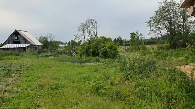 В деревне на краю земли   Юлия Артуровна по хозяйствам