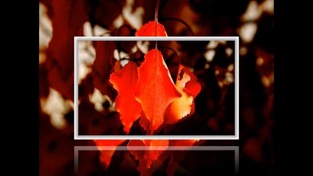 ...Очей очарованье. Настроение - осень.