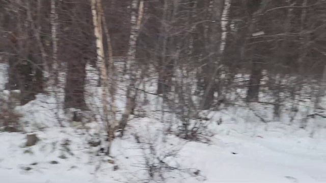 Поговорим? Наступила зима / Красота / ВЛОГ / VLOG смотреть онлайн