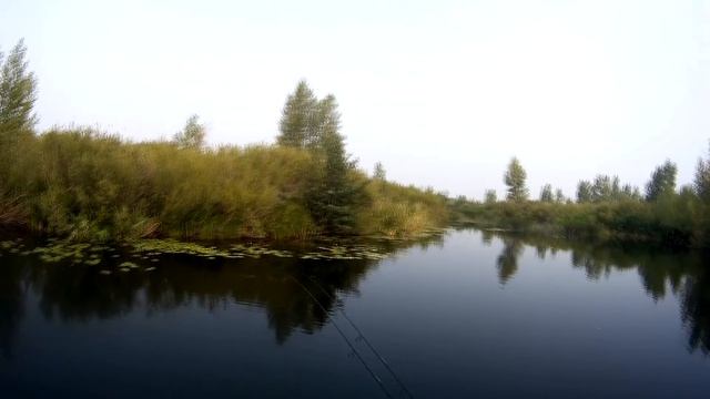 Ловля щуки в камышовых джунглях - 2 смотреть онлайн