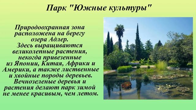 Экологическое путешествие Заповедный мир родного края смотреть онлайн
