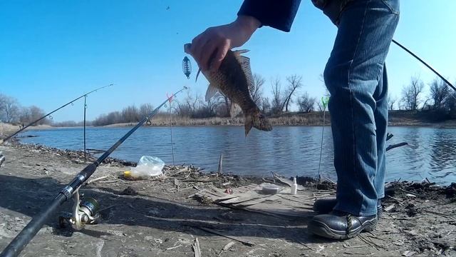 На рыбалку за город на пол дня на удачу карась и плотва. смотреть онлайн