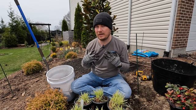 The First Perennial Planting Of The Season | The Southerner's Northern Garden