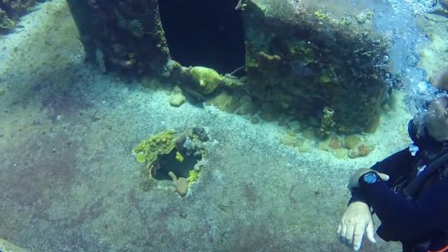 Baie des cochons Cuba смотреть онлайн
